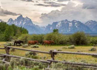 The Fed At Jackson Hole: Why The Smart Money Is Watching