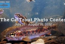 5 Rivers, 3 days challenge