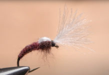 Video: How to Tie the Isonychia Smoke Jumper