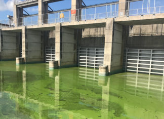 Wednesday Wake-Up Call 08.24.22 – Orvis News