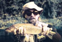 Dragonfly, Creedon’s Creeper, Mud-eye, Bragg’s Dragonfly Nymph