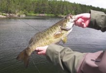 Video: How to Fish a Bass Popper for Maximum Effect