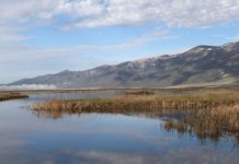 Ruby Lake, Nevada – WorldAtlas