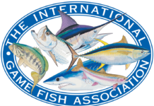 Shimano Brands Chart a Course to World Record Catches