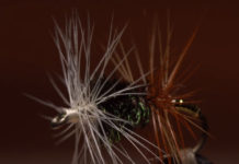 Video: How to Tie the Renegade