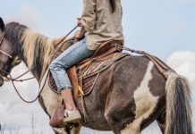 Horseback Riding Vacations For A Unique Fall Getaway