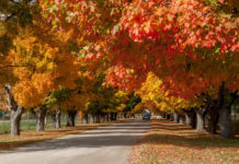 Best Places to Visit in Montana in the Fall 2022