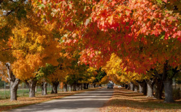 Best Places to Visit in Montana in the Fall 2022