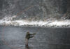 Fishermen lament plunge in Scottish wild salmon catch
