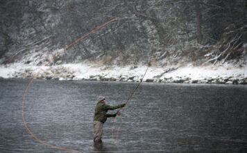 Fishermen lament plunge in Scottish wild salmon catch