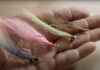 Pro Tips: Alvin’s Top 5 Flies for Redfish
