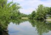 Namesakes and Waterways of the Midstate: Plenty of theories for Yellow Breeches Creek’s origins | Midstate Digital Communities