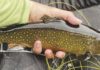 North Country Angling: The secret waters conundrum | Fishing