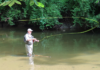 Free fly-fishing lessons offered for anglers | Sports