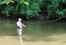 Free fly-fishing lessons offered for anglers | Sports