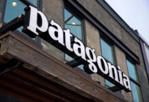 Why did Patagonia’s founder give away the company?