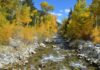 8 Best Places For Fall Foliage Along The Continental Divide In Colorado