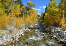 8 Best Places For Fall Foliage Along The Continental Divide In Colorado