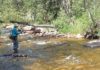 The Middle Fork of the St. Vrain River and a few perfect trout