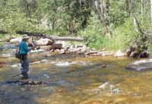 The Middle Fork of the St. Vrain River and a few perfect trout