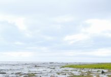 Life as a Fishing Guide on the Susitna: Adam Cuthriell’s Story