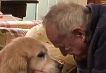 Pennsylvania Business man Eb Faber dies at age 85