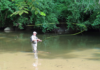 Free Fly-Fishing Lessons Offered for Anglers
