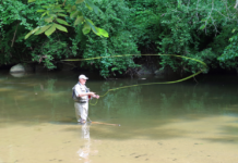 Free Fly-Fishing Lessons Offered for Anglers