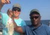 Chris Dollar: Tips on bait and tackle for a successful bottom fishing trip