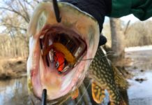 Let’s Get Real About Fly Fishing for Pike