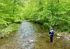 The Story of Wild, Native Brook Trout and Why They Are So Ecologically Important Like the Canary in the Coal Mine for Climate Change