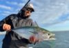 3 Tips on How to Catch False Albacore