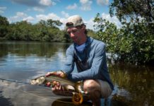 Best Fly Fishing Rods for Beginners in 2022