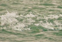 Reel Time: Fall fishing forecast – fun