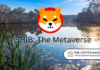 Shiba Inu Unveils First Concept Of Its Metaverse “Rocket Pond”