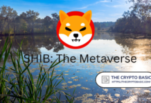 Shiba Inu Unveils First Concept Of Its Metaverse “Rocket Pond”