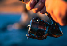 Shimano Brand Tackle Used in 60 Percent of World Record Catches Made in 2021