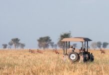 Regenerative Travel Is the Next Phase of Responsible Tourism