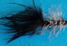 Bill May: The versatile wooly bugger flies