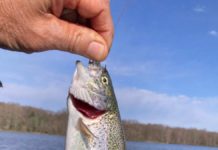 Trout Unlimited meeting to focus on ‘Underwater World of Trout’