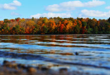 What makes each one special?