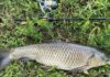 Freshwater fishing picks up with a bang in KZN
