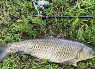 Freshwater fishing picks up with a bang in KZN