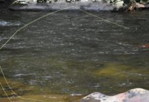 Avid fly fisherman gets to fish with family after successful heart surgery