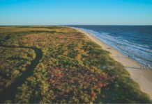 Discover the Charming Allure of Georgia’s Golden Isles | Sponsored