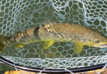 Catskills angling legend to speak at Trout Unlimited meeting
