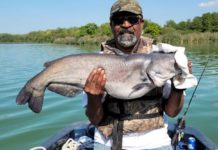 Chicago fishing, Midwest Report: Nearshore salmon/trout, bluegills, smallmouth, largemouth, catfish
