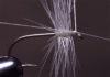 Video: How to Make a Neat Thread Head on a Fly