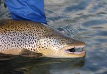 Pro Tips: Understanding the Seasons of Patagonia