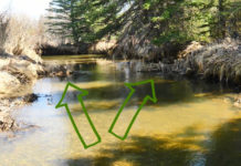 Master Class Monday: How to Follow Other Anglers, Part II